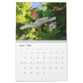 Hibiskus-Kalender Kalender (Mär 2027)