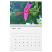 Hibiskus-Kalender Kalender (Jan 2027)