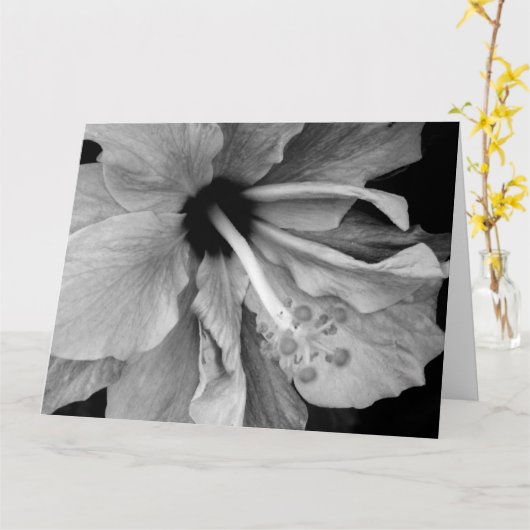 Hibiskus Karte (Gelbe Blume)