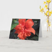 Hibiskus Karte (Gelbe Blume)