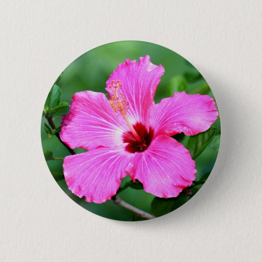 Hibiskus-Knopf Button (Vorderseite)