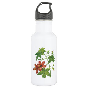Hibiskus (Lavatera phoenicea) von Redouté Trinkflasche