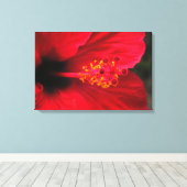 Hibiskus Leinwanddruck (Insitu (Holzboden))
