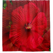 Hibiskus Liebe.... Duschvorhang (Vorderseite)