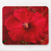 Hibiskus Liebe.... Mousepad (Vorne)