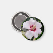 Hibiskus Magnet (Vorderseite/Rückseite)
