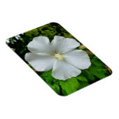 Hibiskus Magnet (Rechte Seite)