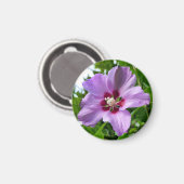Hibiskus Magnet (Vorderseite/Rückseite)