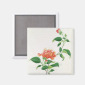 Hibiskus Magnet (Vorderseite/Rückseite)