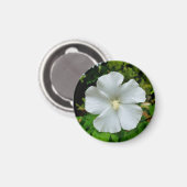 Hibiskus Magnet (Vorderseite/Rückseite)