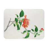 Hibiskus Magnet (Horizontal)