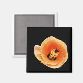 Hibiskus Magnet (Vorderseite/Rückseite)