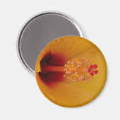 Hibiskus Magnet (Vorderseite/Rückseite)