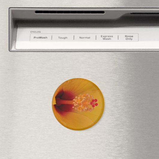 Hibiskus Magnet (In Situ (Geschirrspüler))