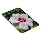 Hibiskus Magnet (Rechte Seite)