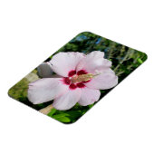 Hibiskus Magnet (Linke Seite)