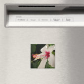 Hibiskus Magnet (In Situ (Geschirrspüler))