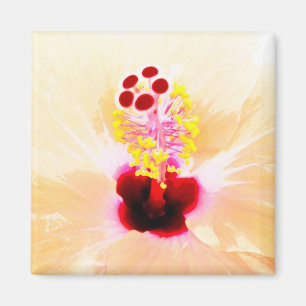 Hibiskus Magnet
