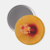 Hibiskus Magnet (Vorderseite/Rückseite)