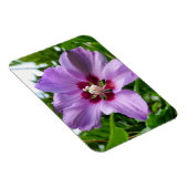 Hibiskus Magnet (Rechte Seite)