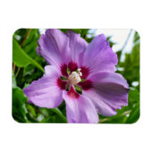 Hibiskus Magnet (Horizontal)