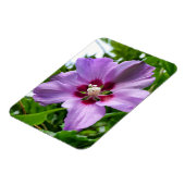 Hibiskus Magnet (Linke Seite)