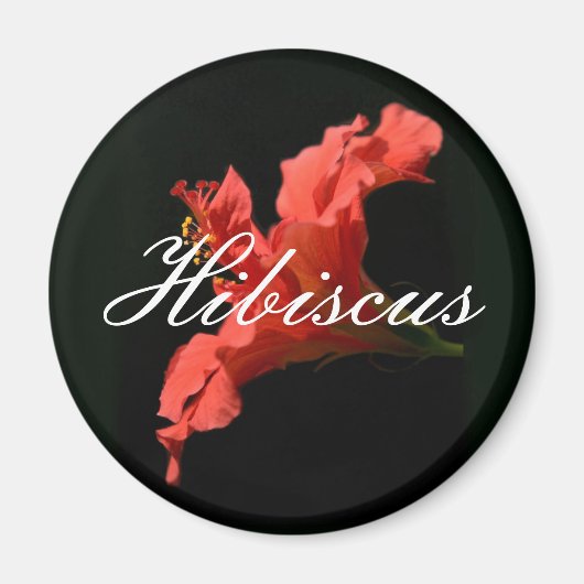 Hibiskus Magnet (Vorne)