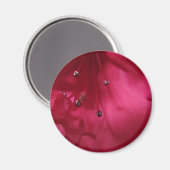 Hibiskus Magnet (Vorderseite/Rückseite)