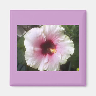 Hibiskus-Magnet Magnet