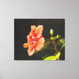 Hibiskus mit digitaler Embossung, Brenda's Blume Leinwanddruck