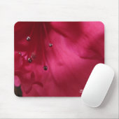 Hibiskus Mousepad (Mit Mouse)