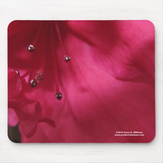 Hibiskus Mousepad (Vorne)