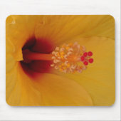 Hibiskus Mousepad (Vorne)