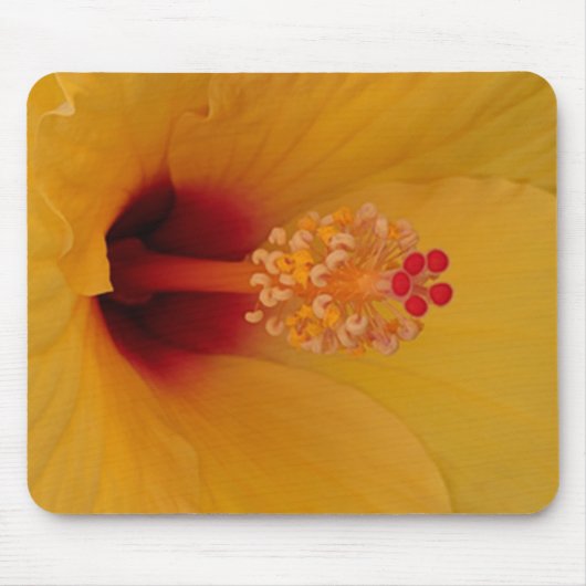 Hibiskus Mousepad (Vorne)