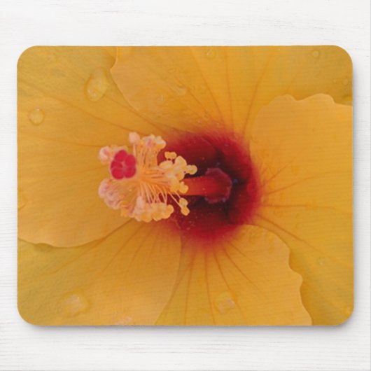 Hibiskus Mousepad (Vorne)