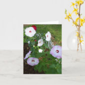 Hibiskus notecard, sortenreich karte (Gelbe Blume)