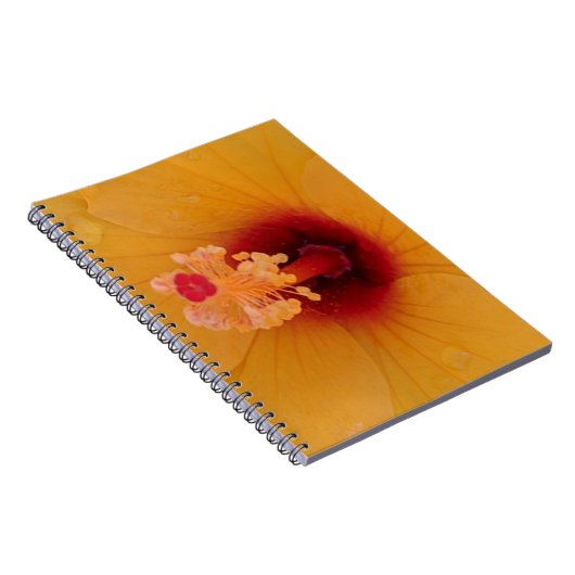 Hibiskus Notizblock (Rechte Seite)