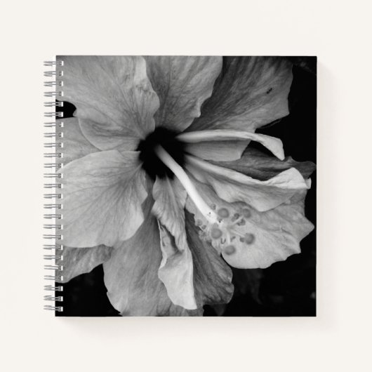 Hibiskus Notizblock (Vorderseite)