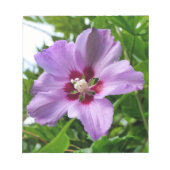 Hibiskus Notizblock (Vorderseite)