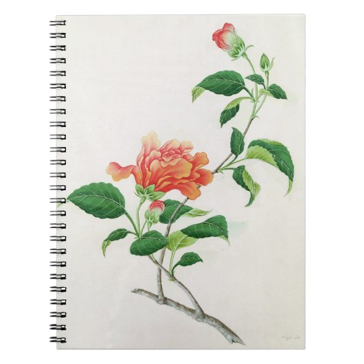 Hibiskus Notizblock (Vorderseite)