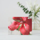 Hibiskus Nr. 3 Postkarte (Stehend Vorderseite)