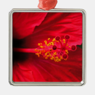 Hibiskus Ornament Aus Metall