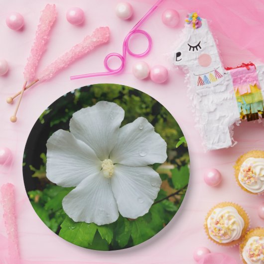 Hibiskus-Papierplatte Pappteller (Party)