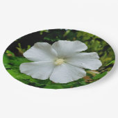Hibiskus-Papierplatte Pappteller (Schrägansicht)