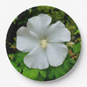 Hibiskus-Papierplatte Pappteller (Vorderseite)