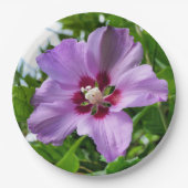 Hibiskus-Papierplatte Pappteller (Vorderseite)