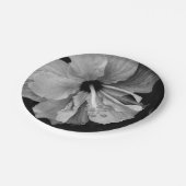 Hibiskus Pappteller (Schrägansicht)