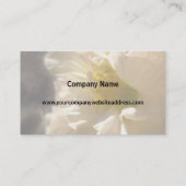 Hibiskus Pink in Sepia Visitenkarte (Rückseite)