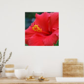 Hibiskus Poster (Küche)