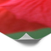 Hibiskus Poster (Ecke)